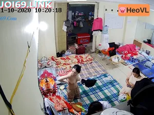 Quay lén động của mấy con nhện tinh