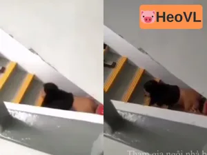 Quay lén cặp đôi xoạc nhau dưới cầu thang
